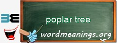 WordMeaning blackboard for poplar tree